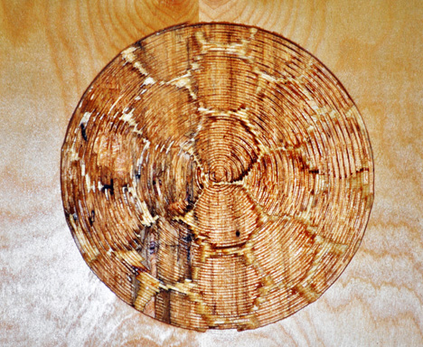 hive-2
